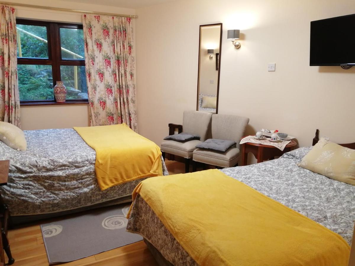 Ben View Bed & Breakfast Clifden